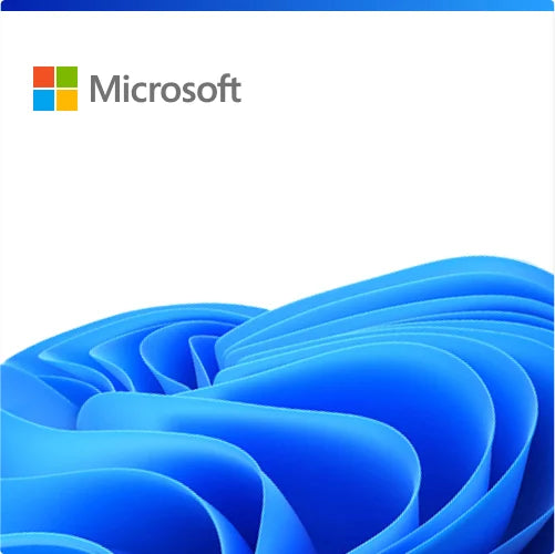Windows 11 Enterprise LTSC 2024 Upgrade