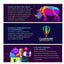 Corel CorelDRAW Graphics Suite 2024 - Licencia - PC, Mac