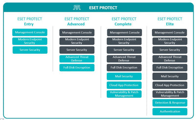 ESET PROTECT ADVANCED 50 nodos